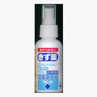 大洋製薬 スキネード 80ml