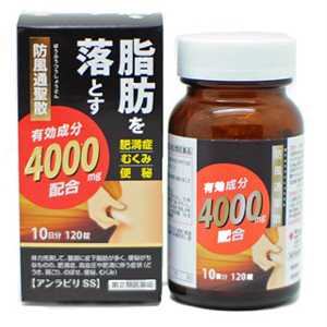 アンラビリSS(防風通聖散) 360錠