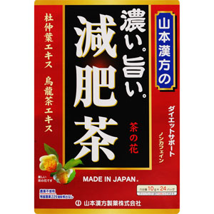 山本漢方 濃い旨い 減肥茶 〈ティーバッグ〉 10g×24包