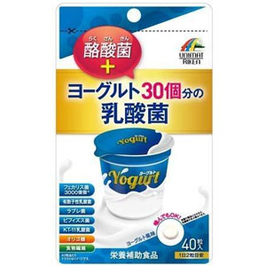  ヨーグルト30個分の乳酸菌 +酪酸菌 40粒入