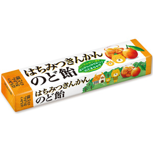 ノーベル はちみつきんかんのど飴 スティック 10粒