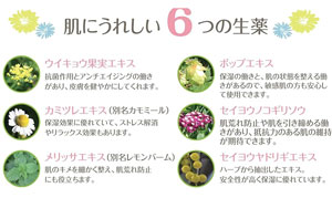 プラティーン ヘヤー＆ボディーシャンプー