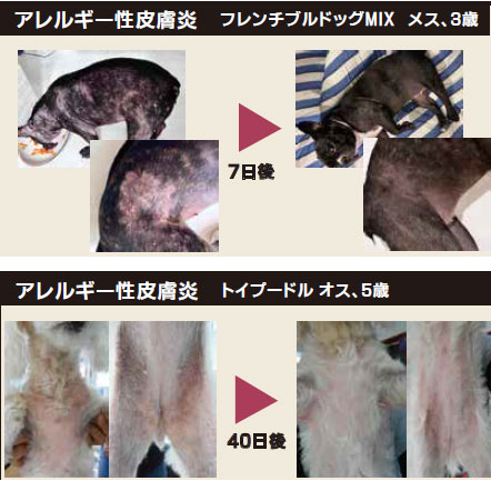 メディカルワン・プロ