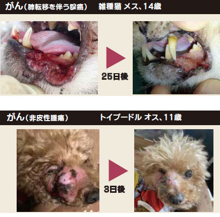 メディカルワン・プロ