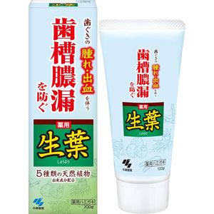 薬用 生葉 100g
